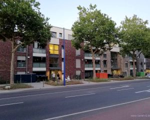 muellcontainer-einhausung-modern.jpg