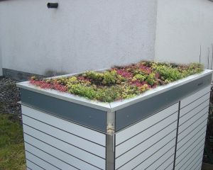 flachdachbegruenung_gartenq_gr.jpg