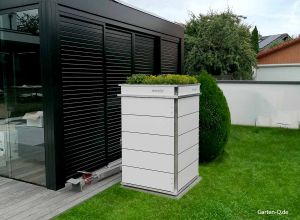 kissenbox gross