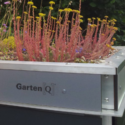 Dachbegrünung auf Gartenhaus
